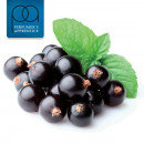 tfa Black Currant